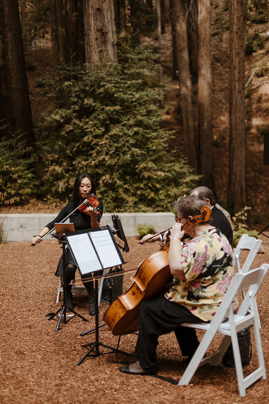 redwood forest wedding details