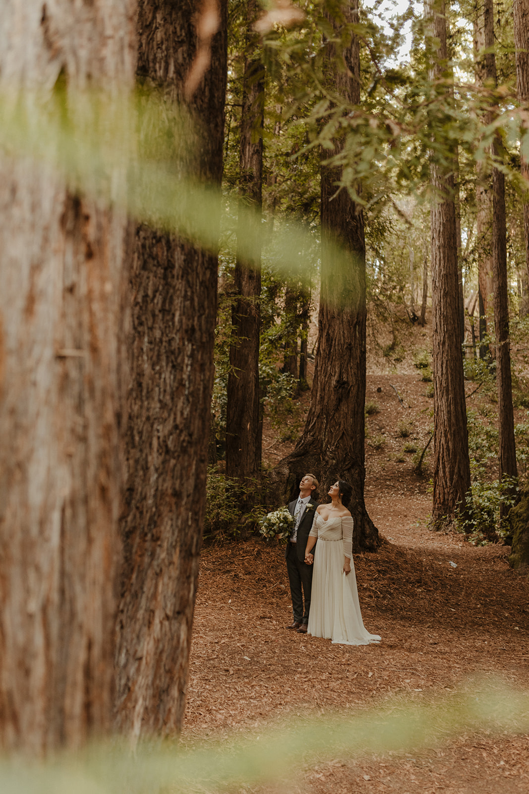 bride and groom portraits for redwood forest wedding 