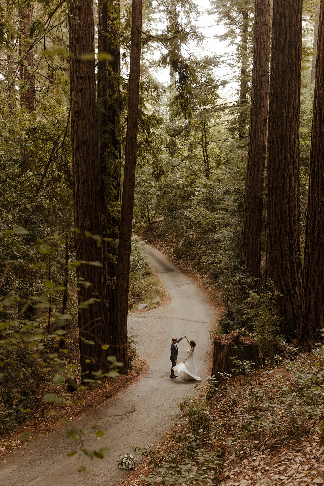 bride and groom portraits for redwood forest wedding 