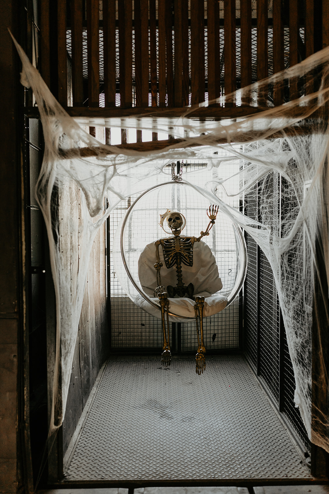 skeleton in a chair and spider webs at reception at fall halloween wedding 
