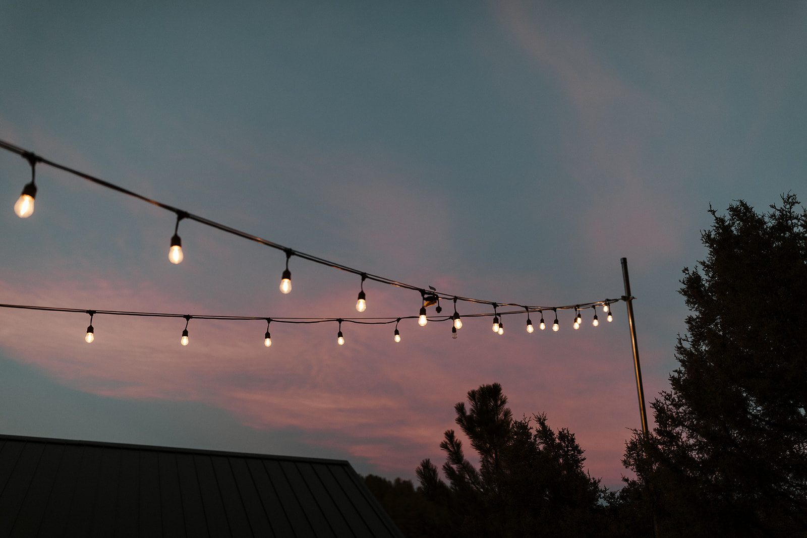 detail shot of cotton candy sky with reception string lights