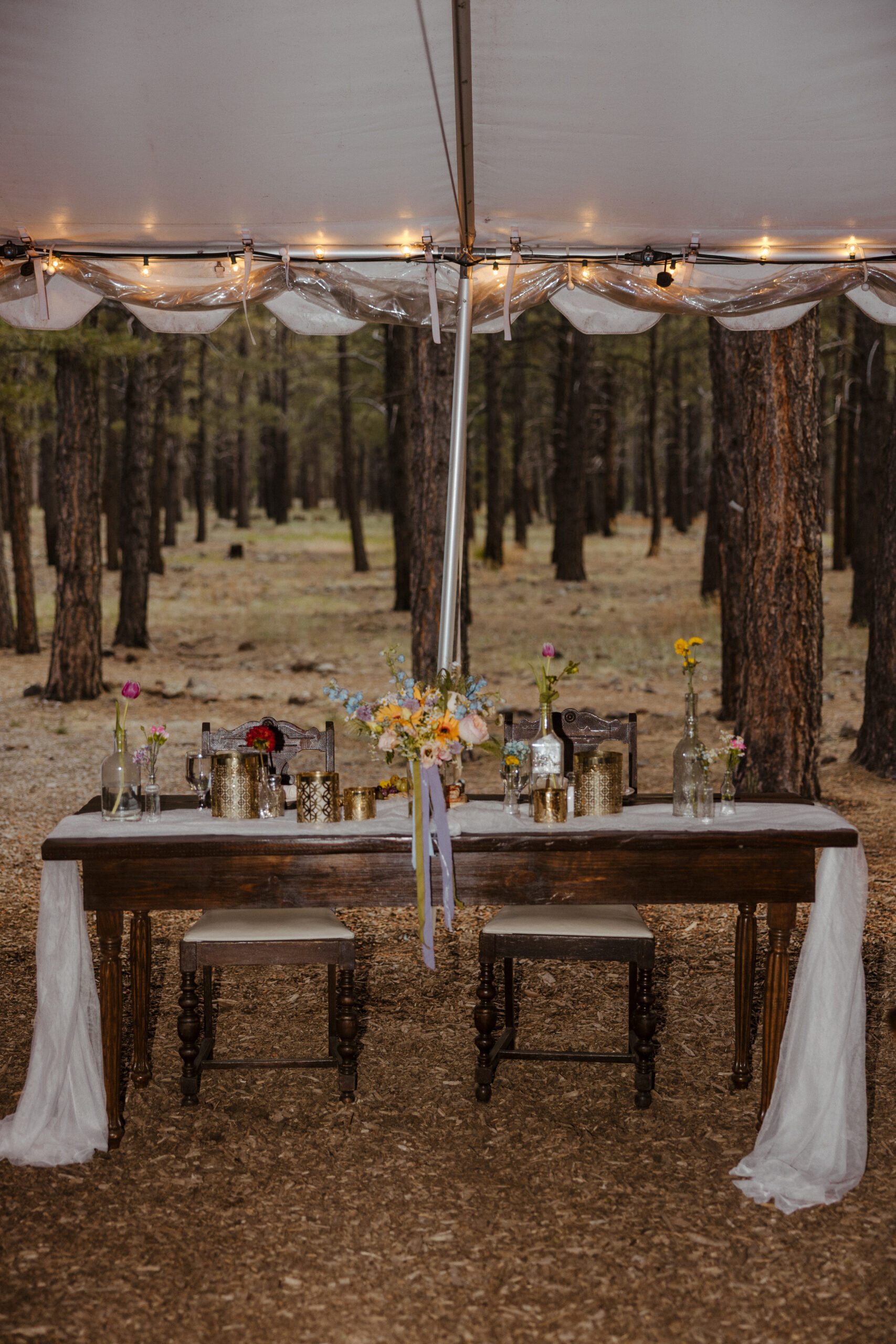 tented reception head table at one of Arizona's forest wedding venues 