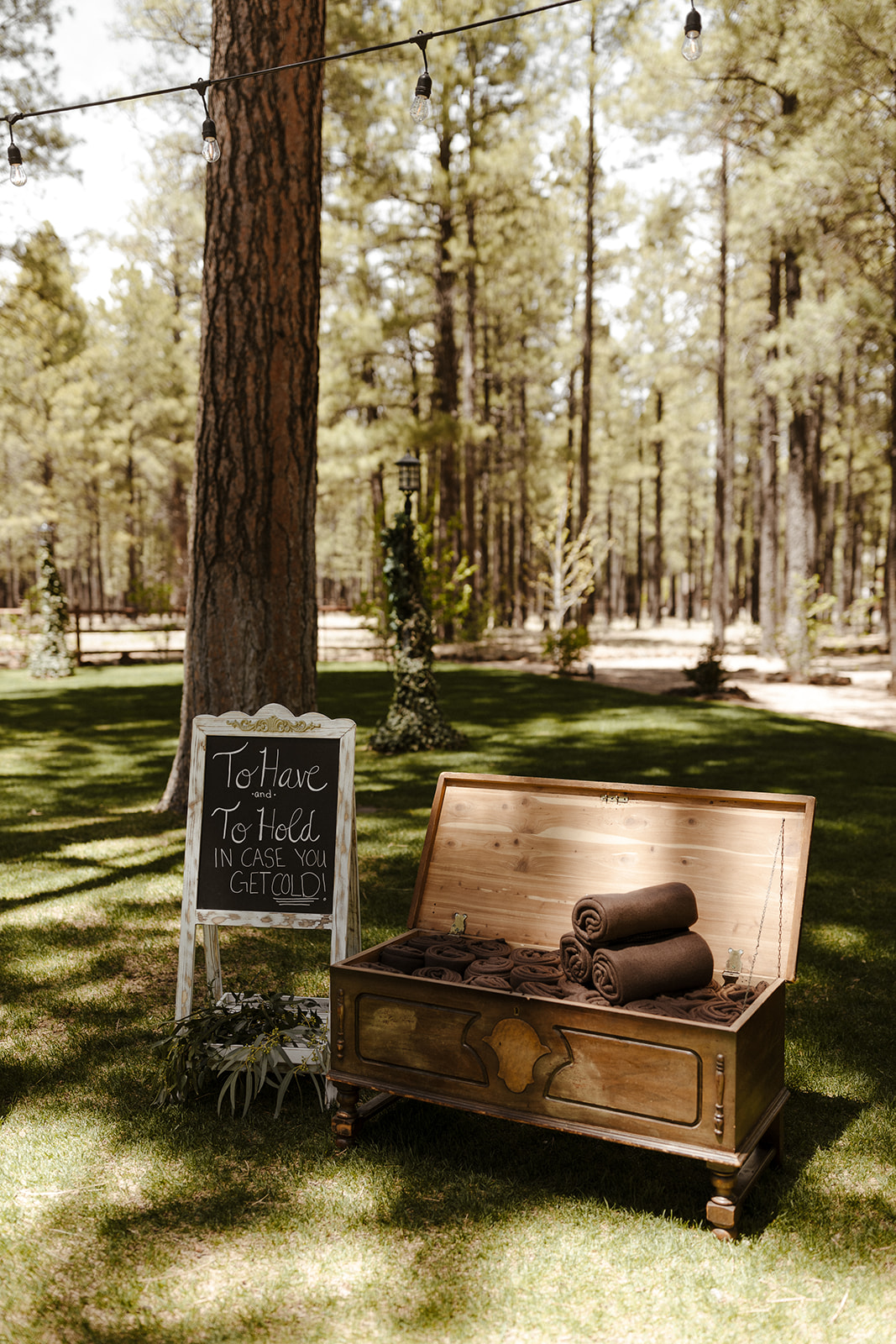 guest blanket station at beautiful forest wedding 