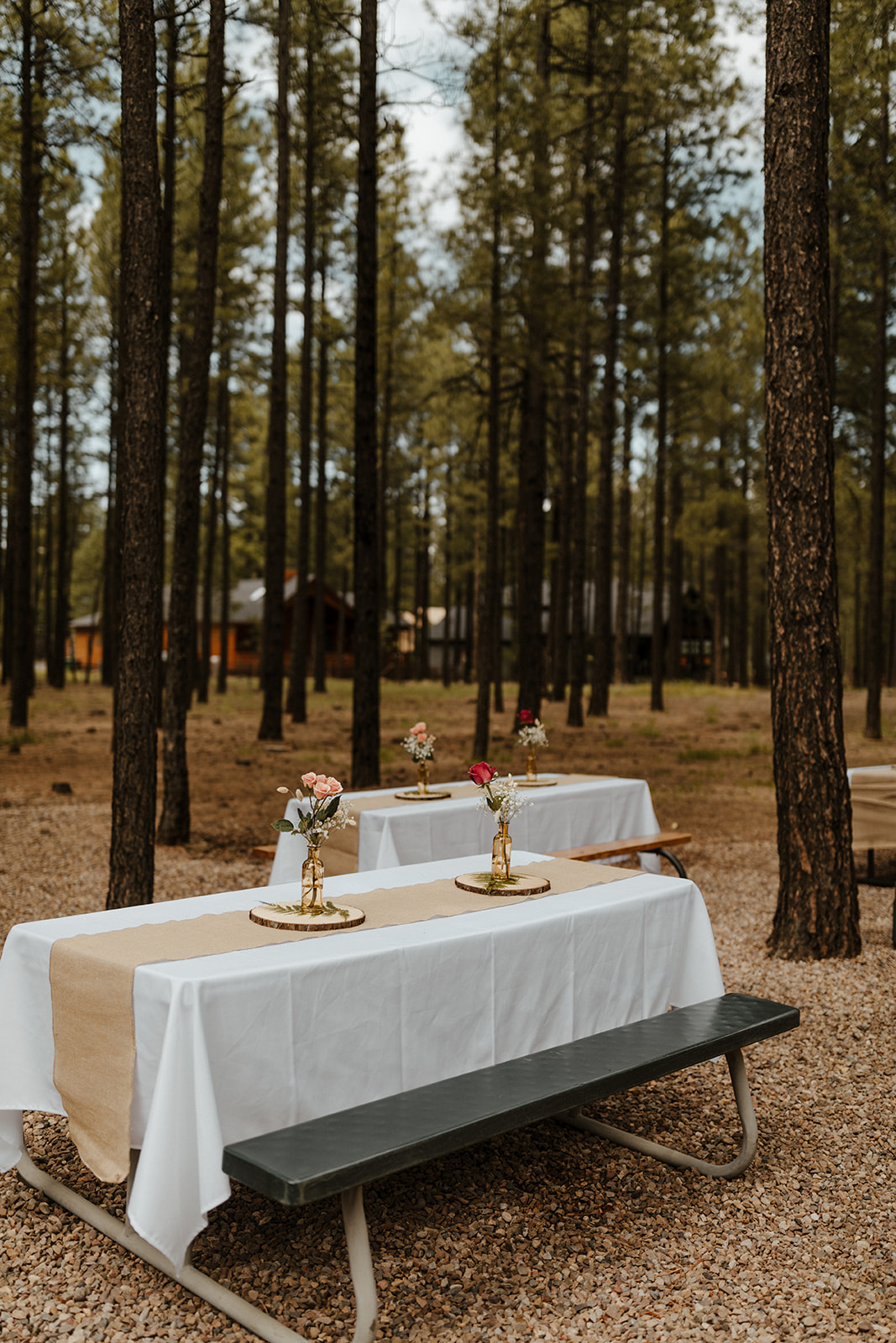 reception tables in the woods at one of Arizona's forest wedding venues