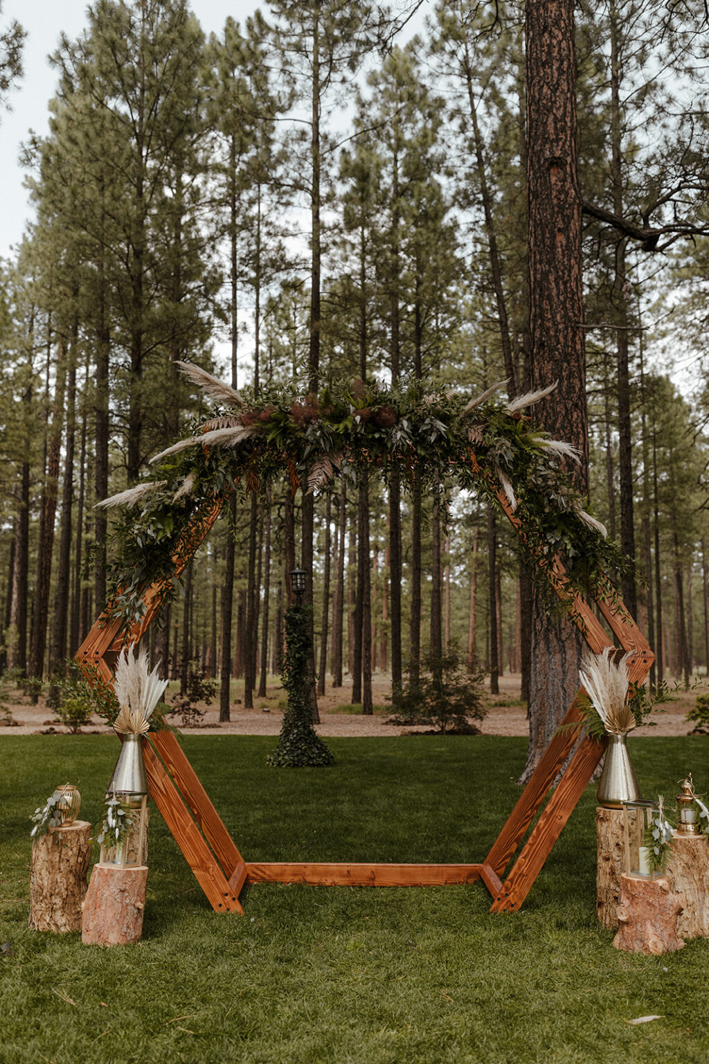 The 6 Best Arizona Forest Wedding Venues - Kali M Photos