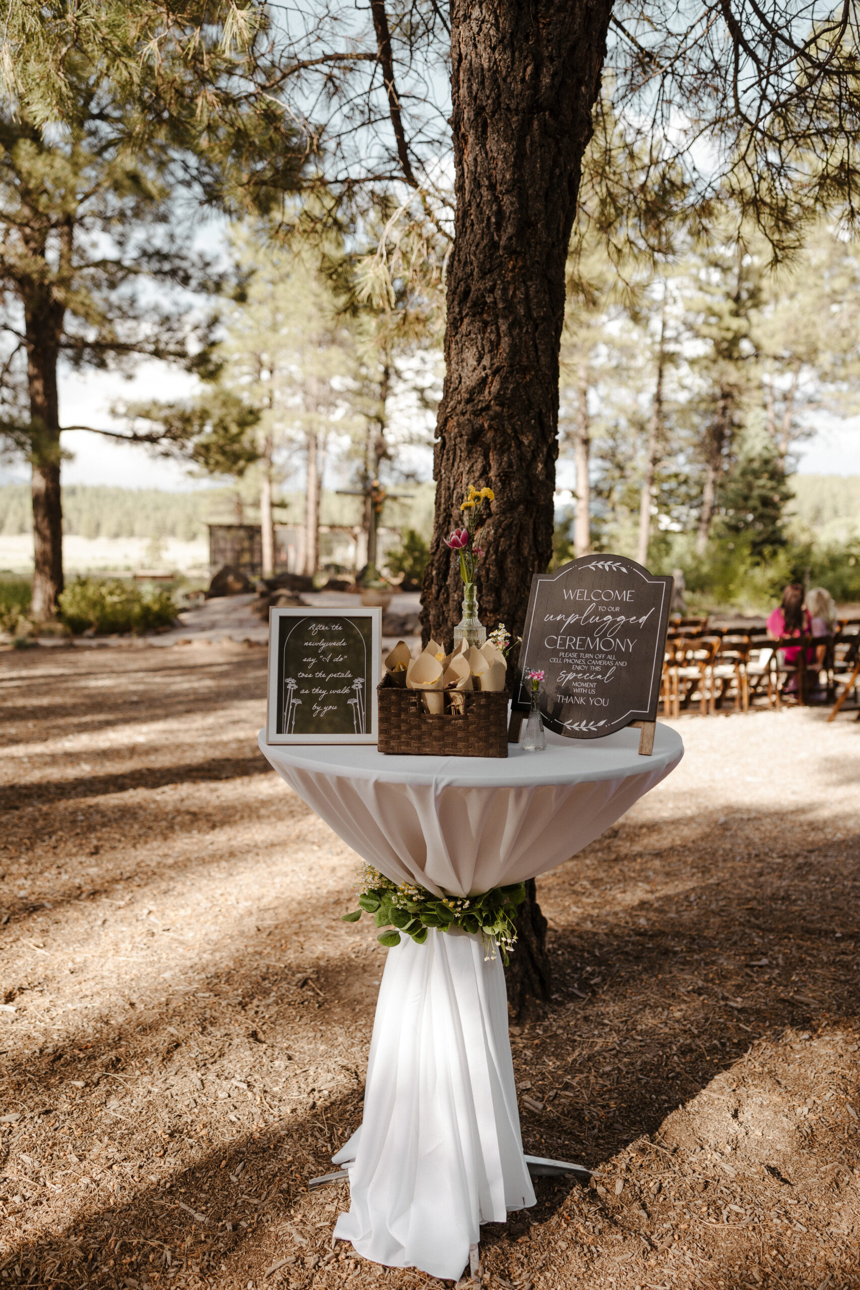 wedding signage and decor at intimate forest wedding 