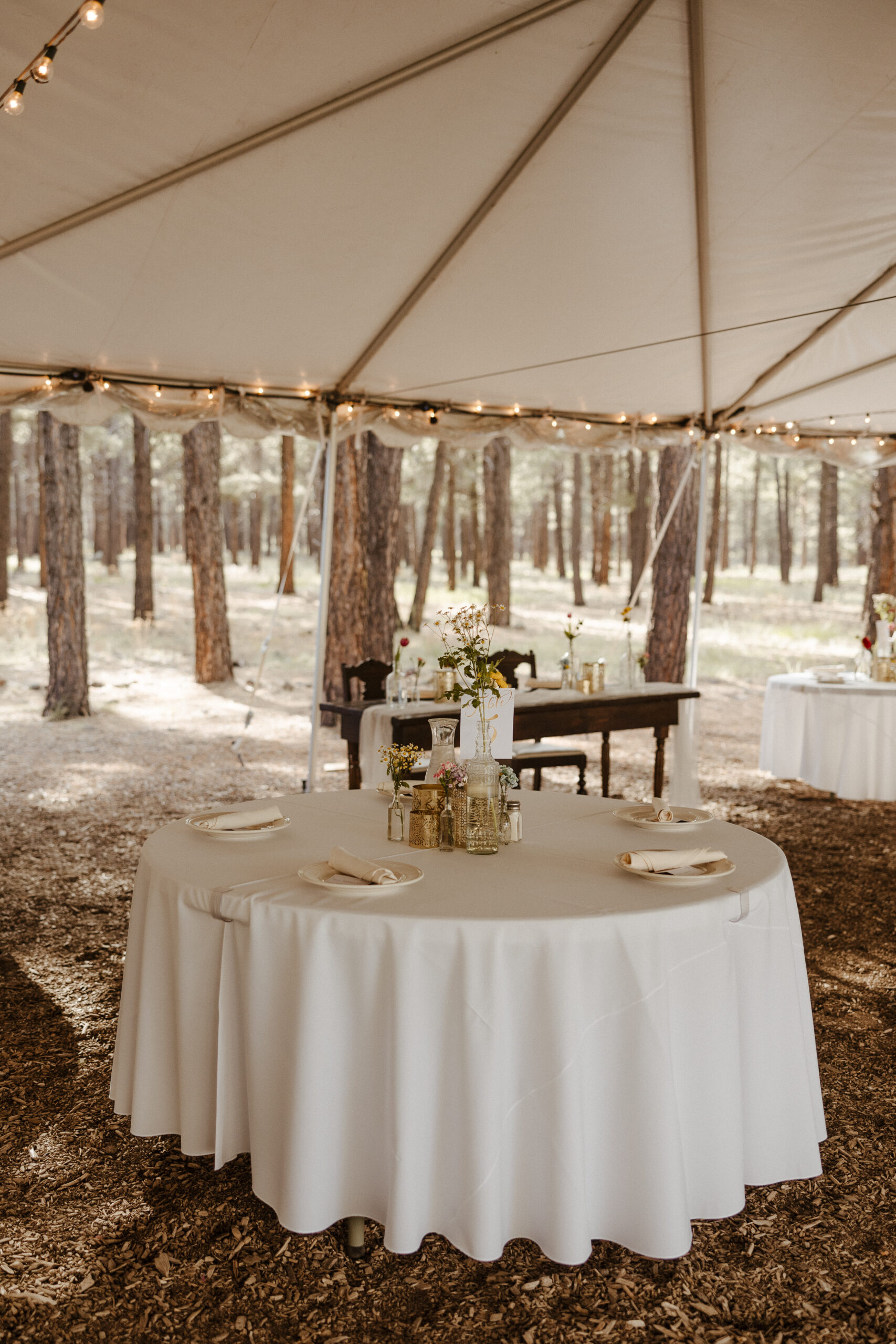wedding reception tables and tent