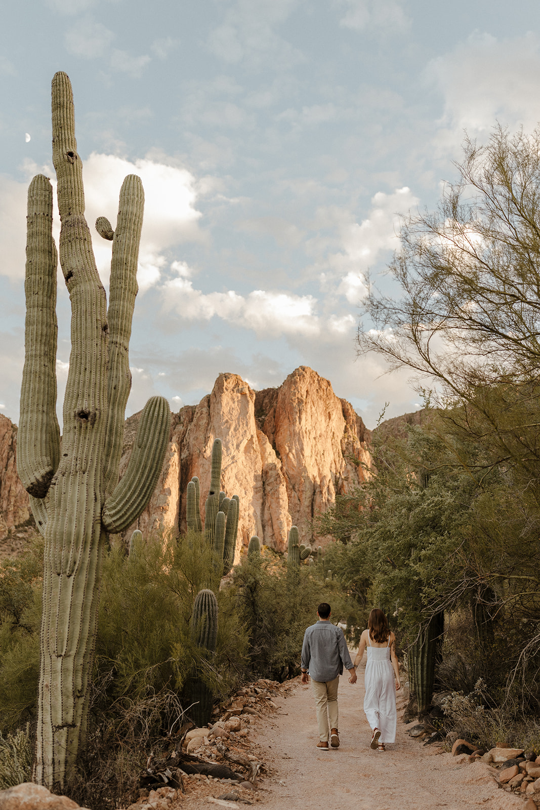 newly engaged couple walking through the towering cacti at saguaro lake guest ranch Arizona 