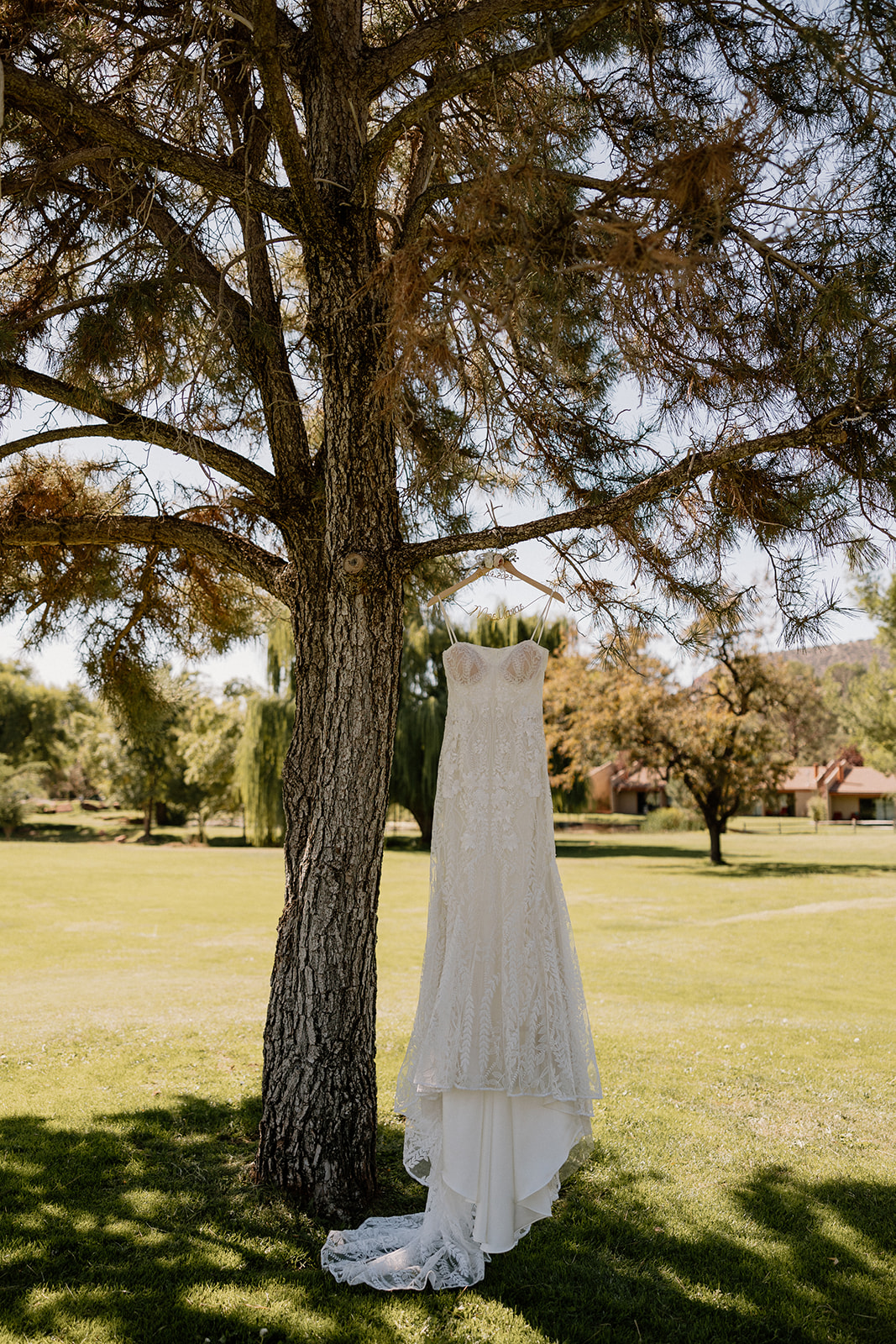 Stunning wedding dress hanging in a tree before the stunning Arizona fairy garden wedding