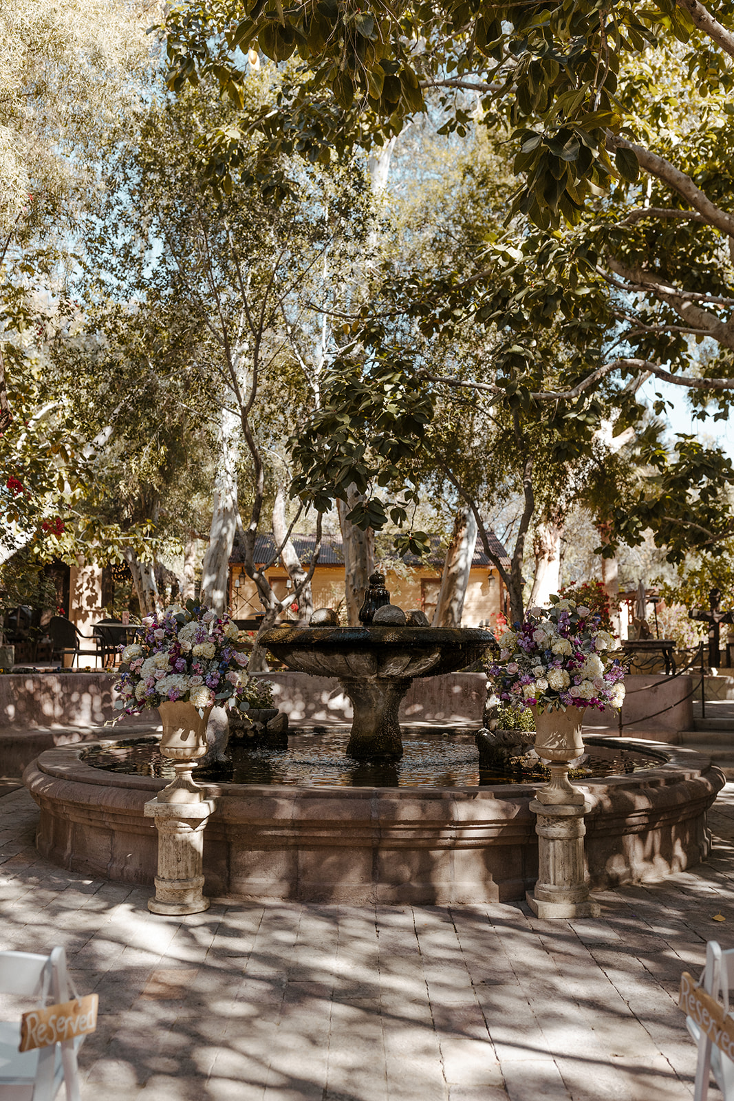 The beautiful Boojum Tree Hidden Gardens is a Top 10 Arizona wedding venue on anyone's list! 