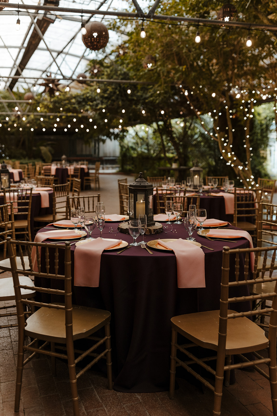 The beautiful Boojum Tree Hidden Gardens sits ready for stunning Arizona wedding reception! 