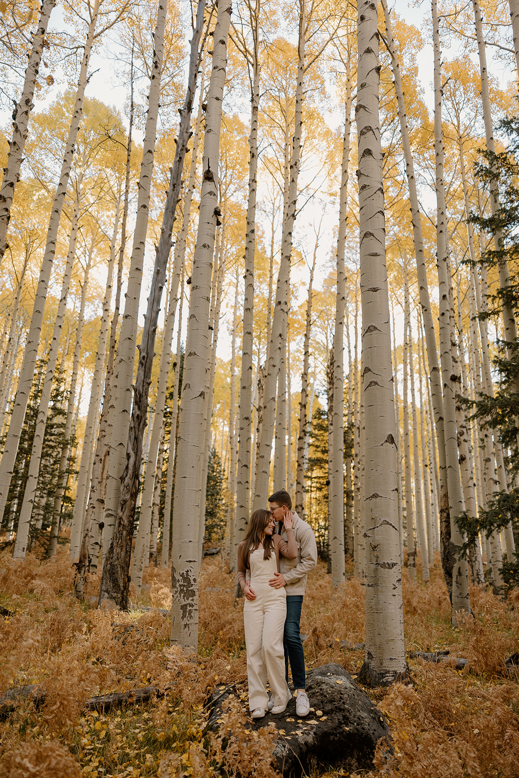 Stunning couple pose under the yellow Arizona trees 