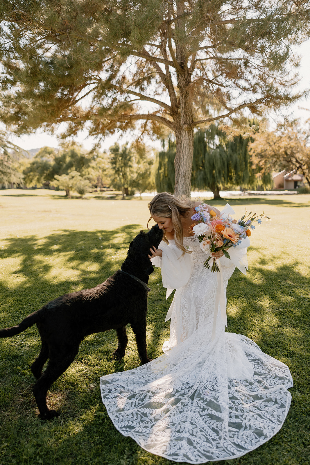 Bride gives her dog some love after her dreamy Arizona wedding day