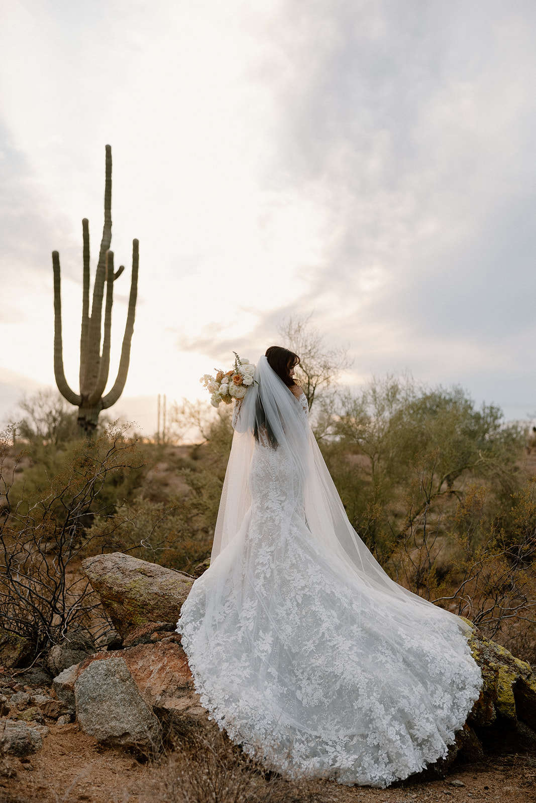 bride poses in the dreamy Arizona desert