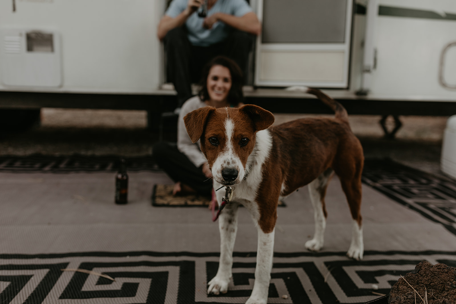 their puppy wonders up to the camera for a closer look 