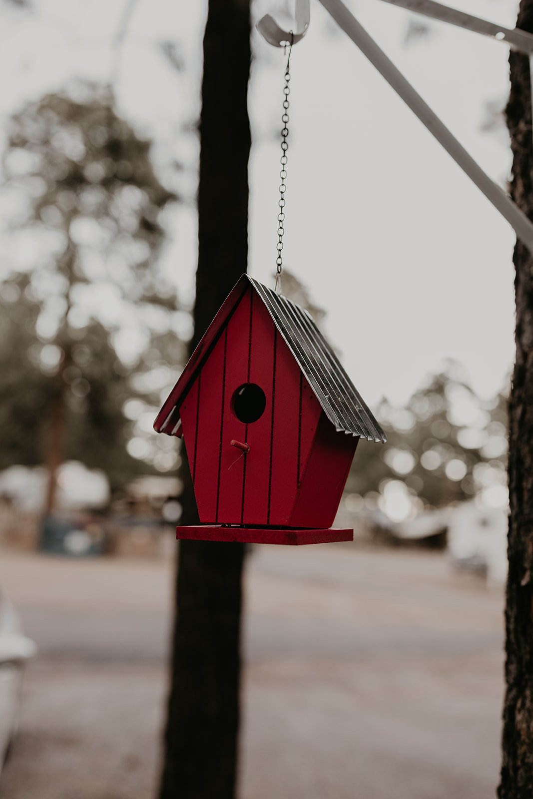 in home decor of a Flagstaff, Arizona in home photoshoot! Details are always a great couple photoshoot ideas at home