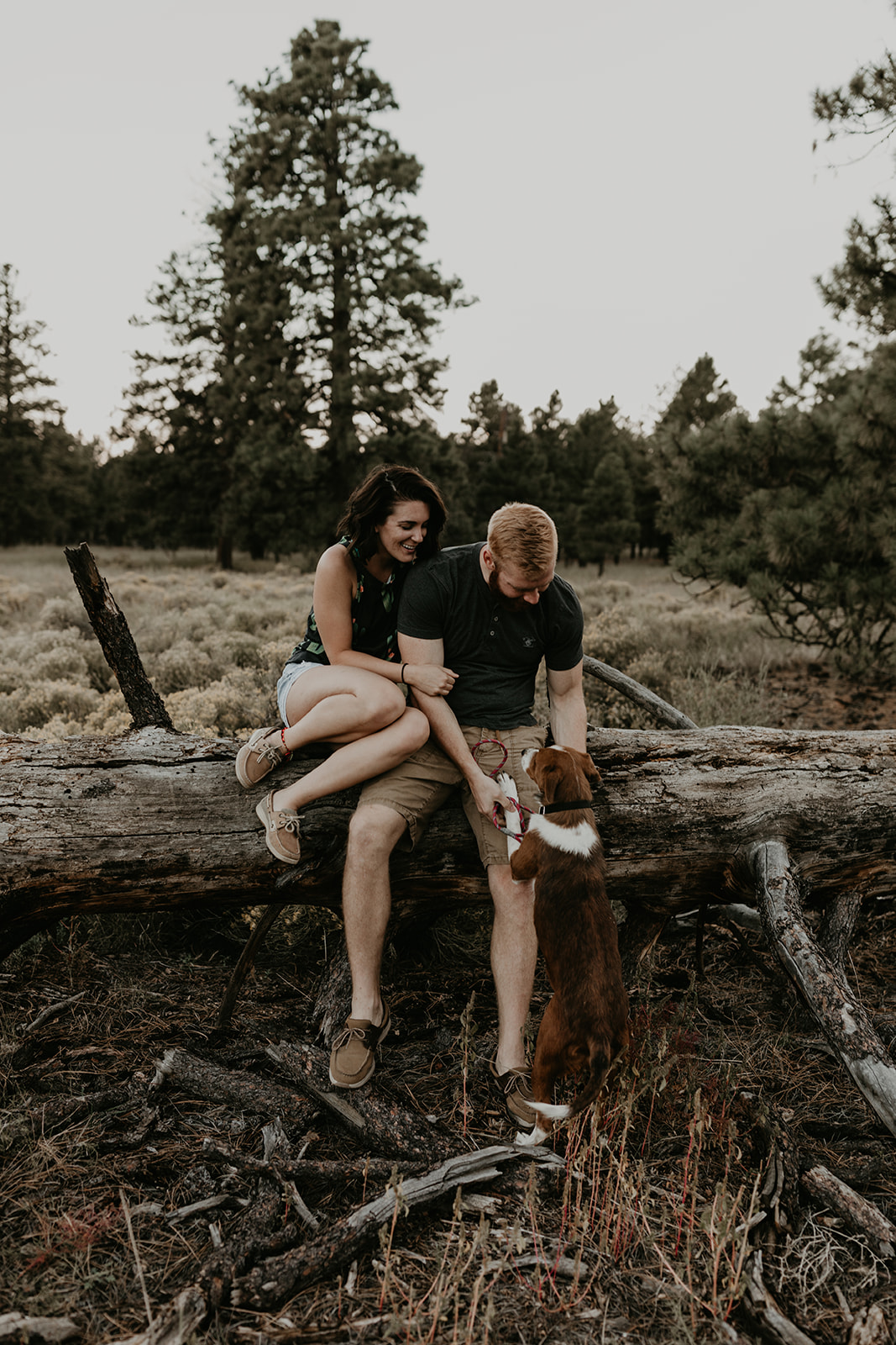 husband and wife pose together in the beautiful Arizona nature with their dog