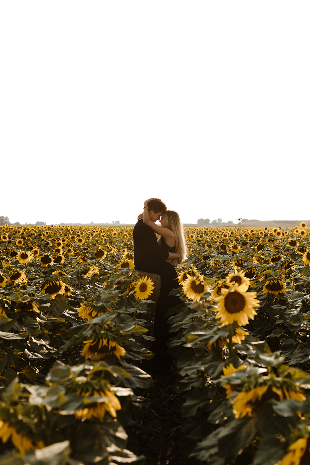 stunning couple pose for a romantic photo during their Denver sunflower field engagement session 