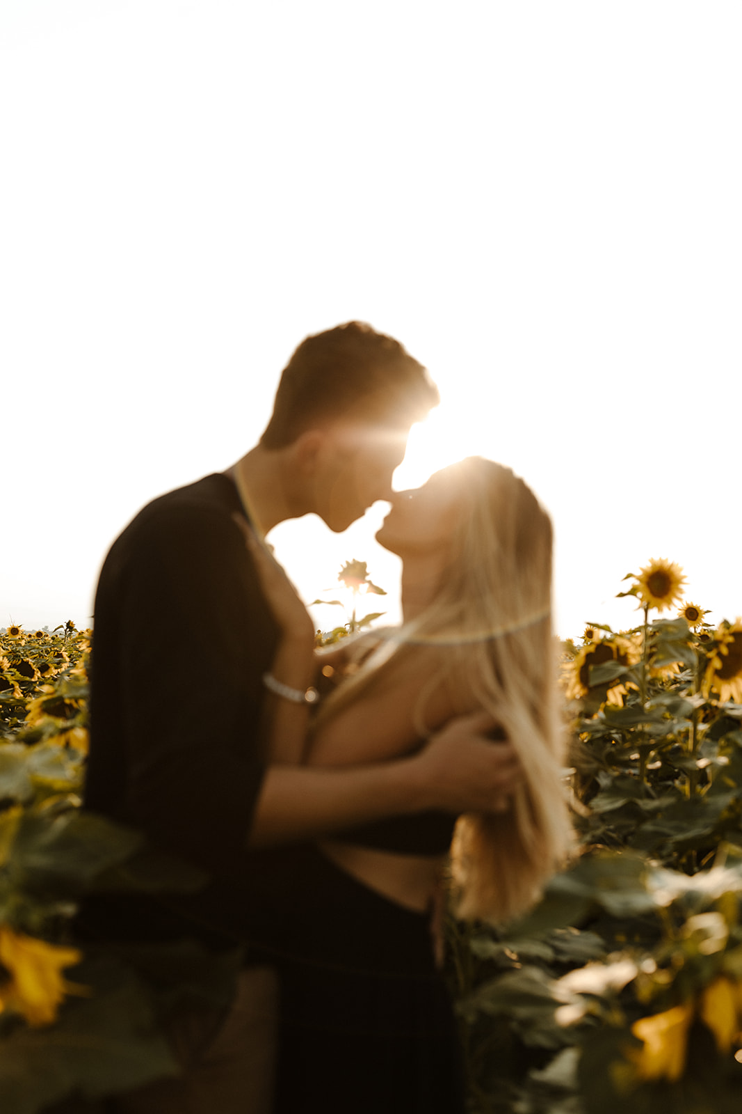 beautiful couple poses with the sun beaming between their faces during their Denver sunflower field engagement photoshoot