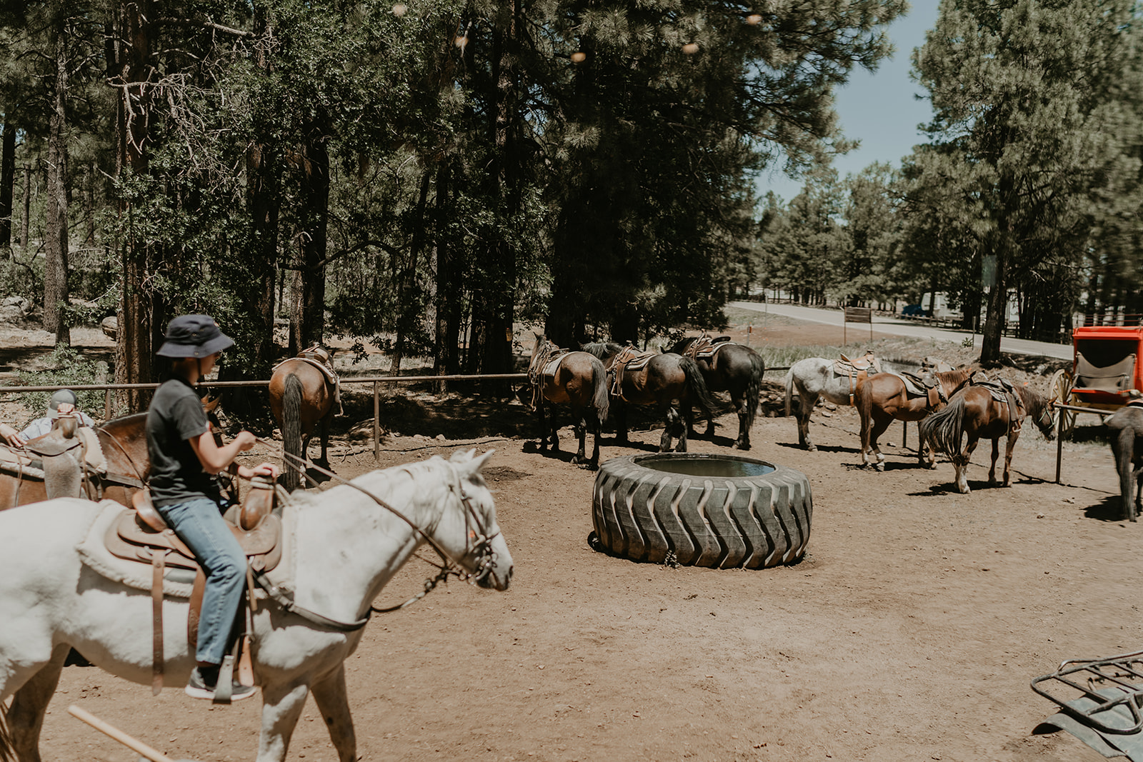 horse riding activity at Mormon lake lodge 