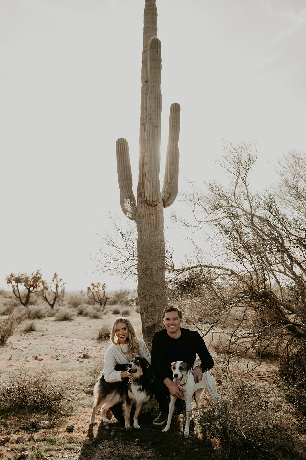 dreamy lost dutchman state park engagement photoshoot with dogs