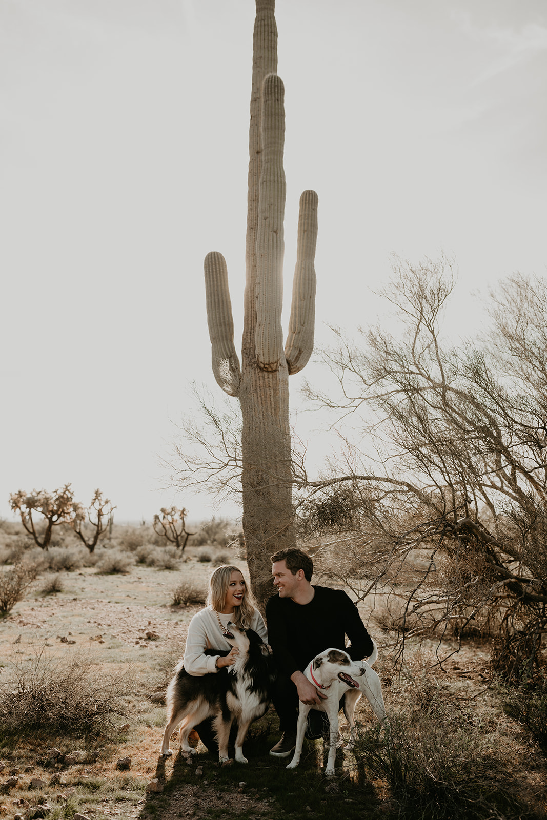 dreamy lost dutchman state park engagement photoshoot with dogs