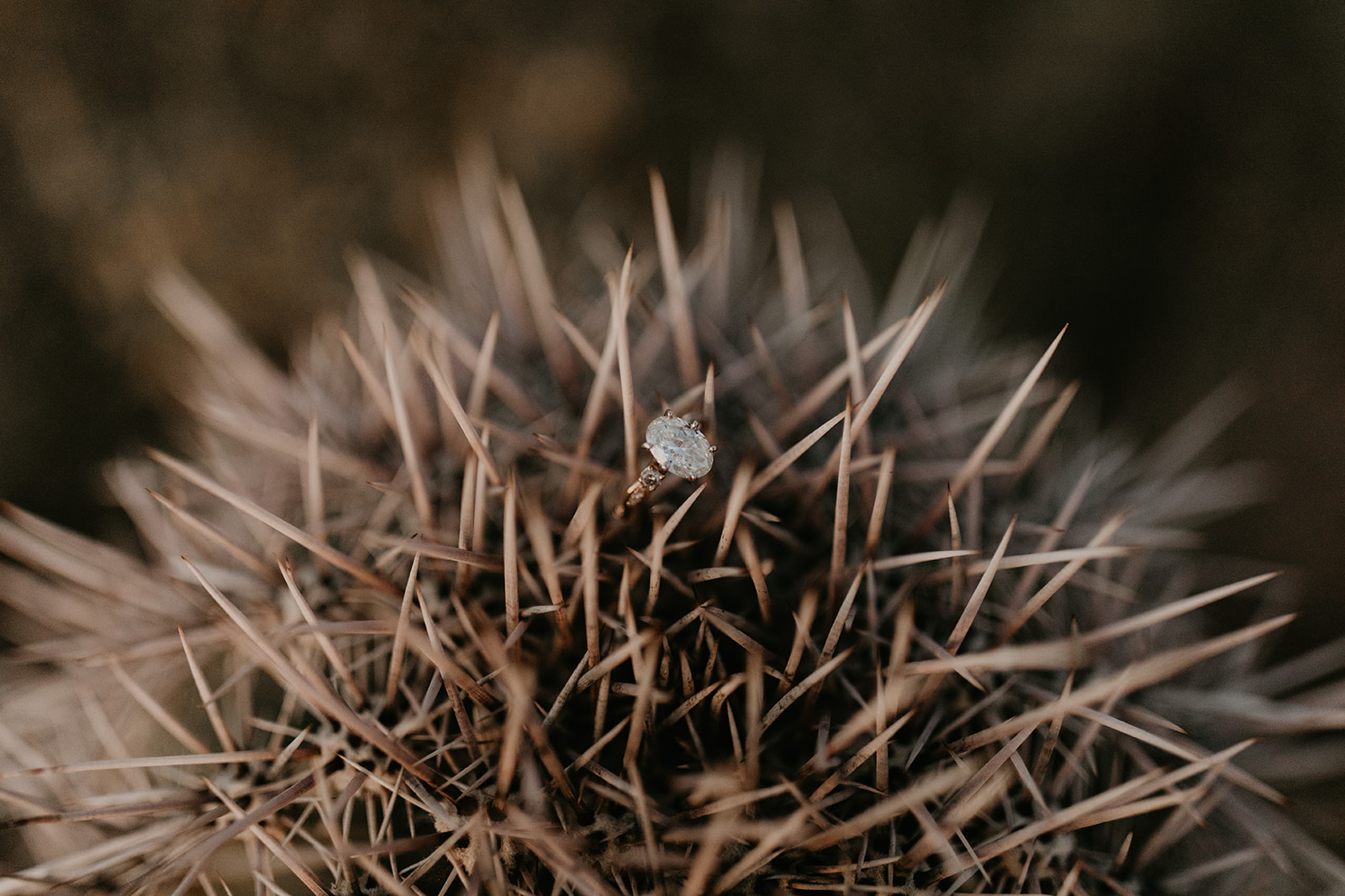 creative engagement ring photo idea in the Arizona desert