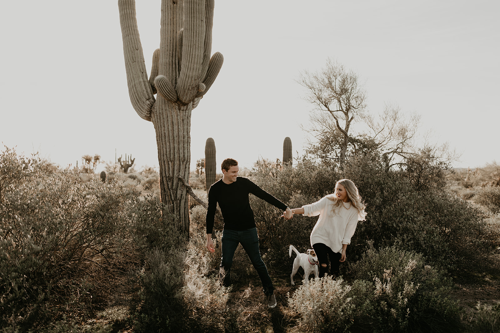 dreamy lost dutchman state park engagement photoshoot with dogs