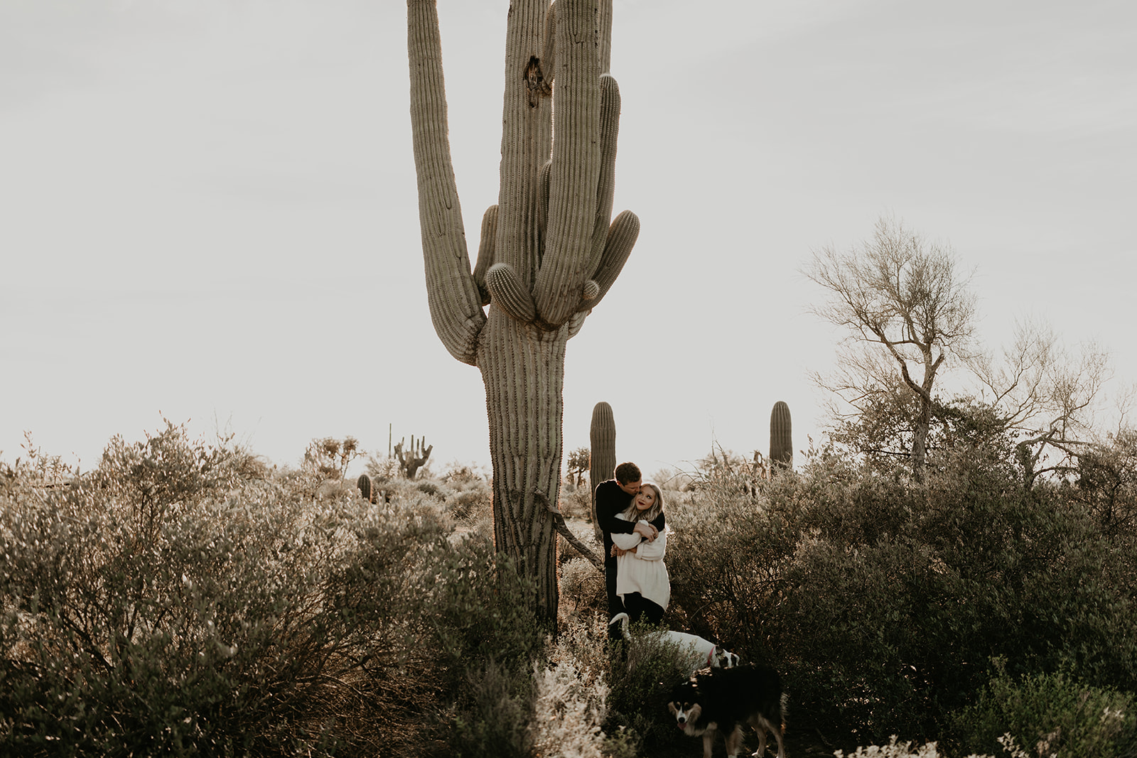 couple pose beside the cactus during their desert engagement photoshoot