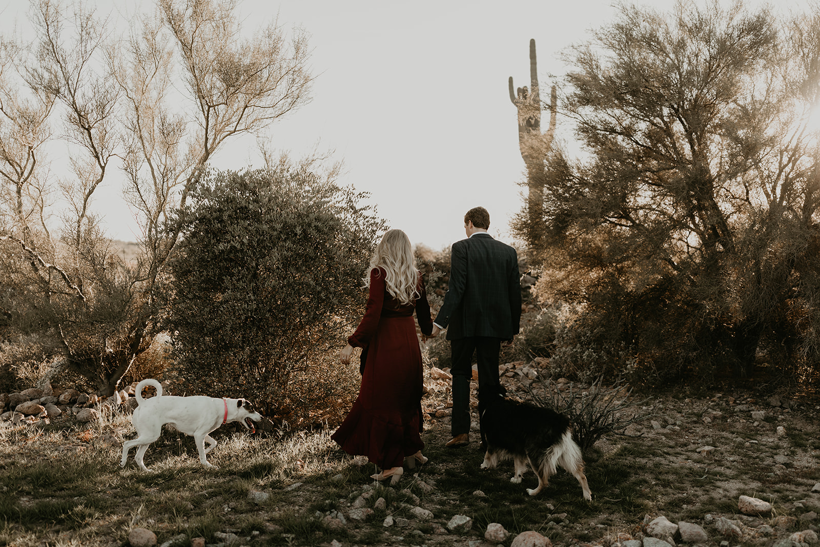 dreamy lost dutchman state park engagement photoshoot with dogs