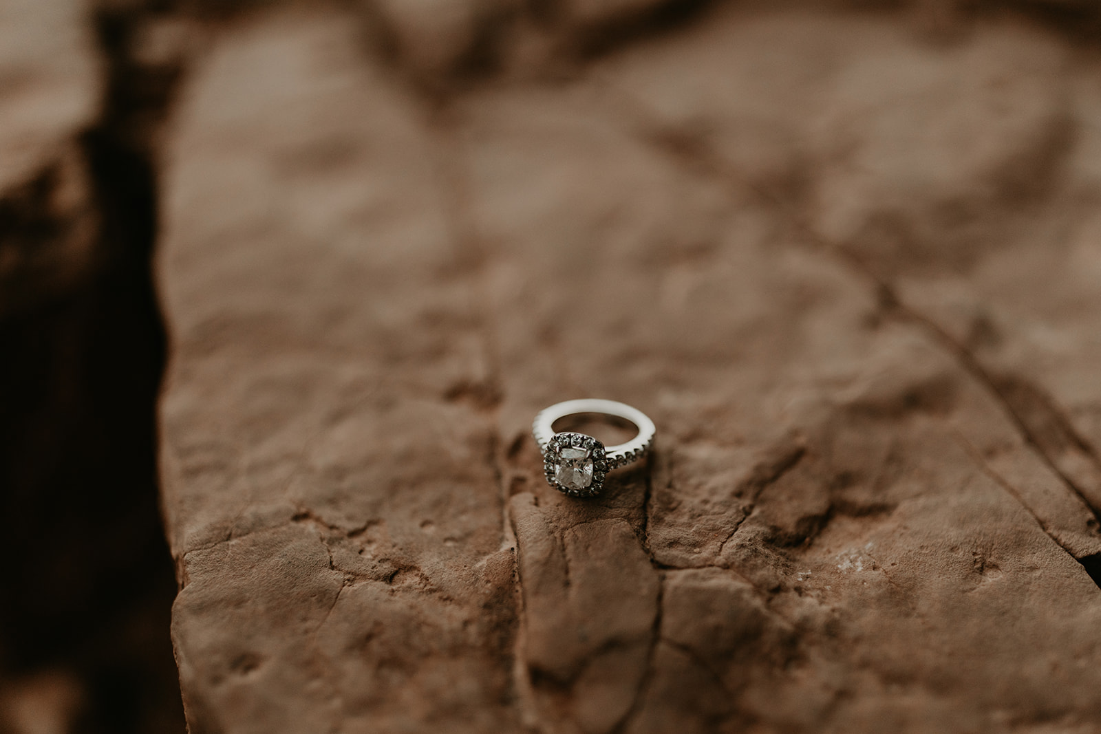 detail shot of a beautiful engagement ring during an Arizona engagement photoshoot