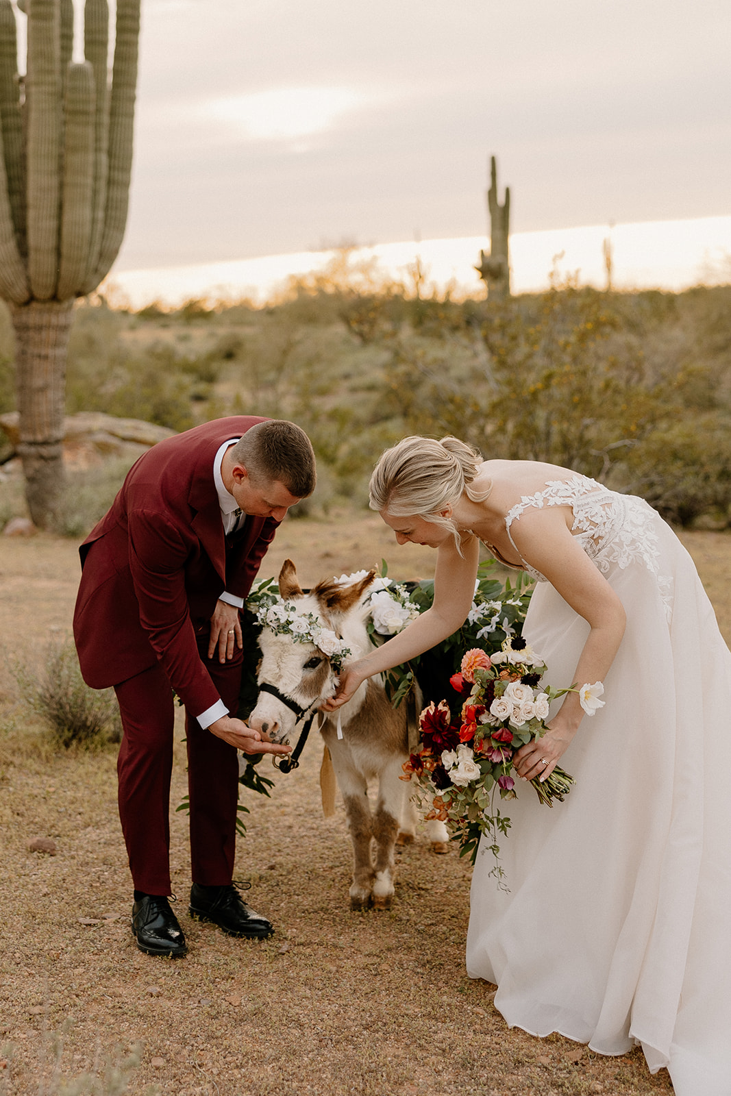 bride and groom feed a horse after their dreamy Arizona wedding day