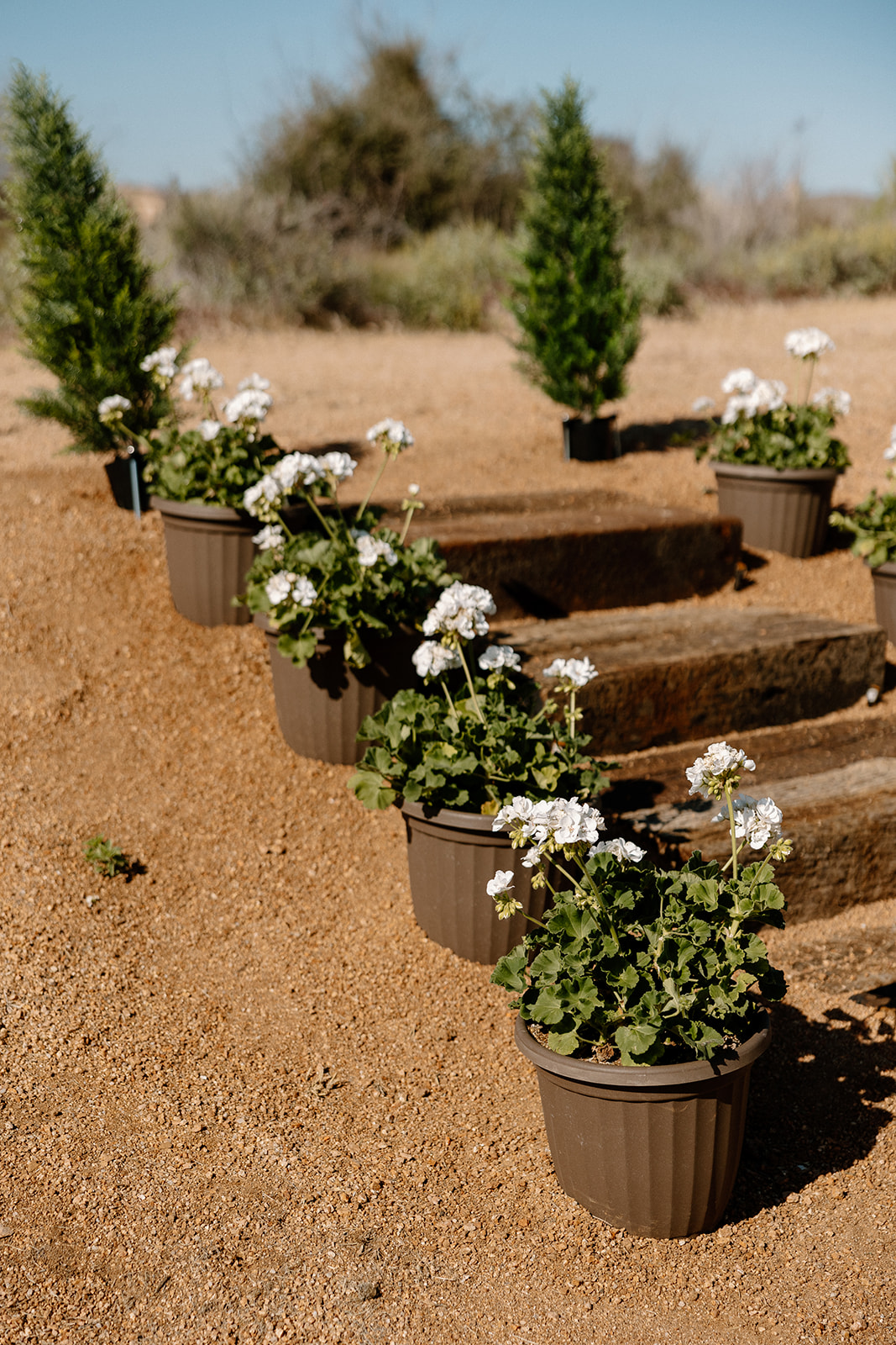 stunning wedding decor of a dreamy Arizona wedding day