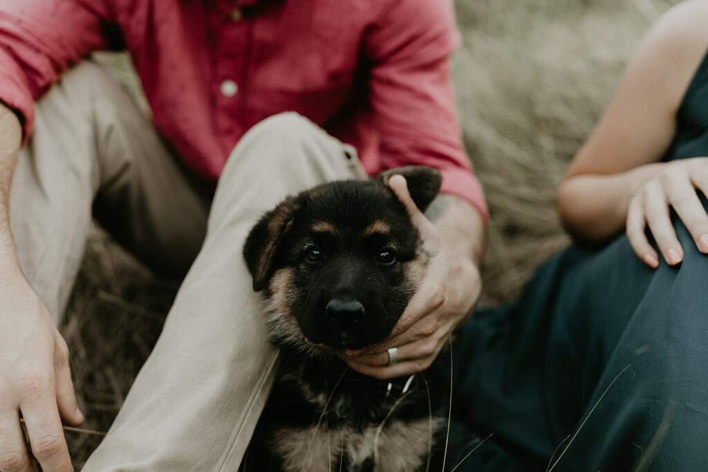 couple pose with their puppy during their Arizona engagement photoshoot