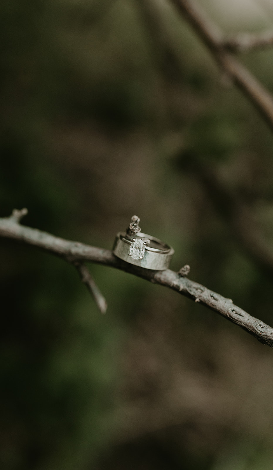 engagement rings hang on a branch