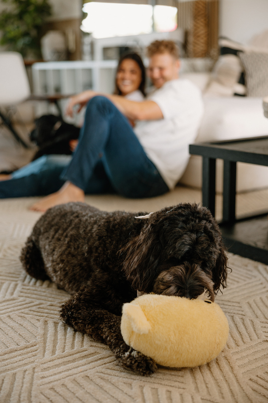 dog chews on his toy