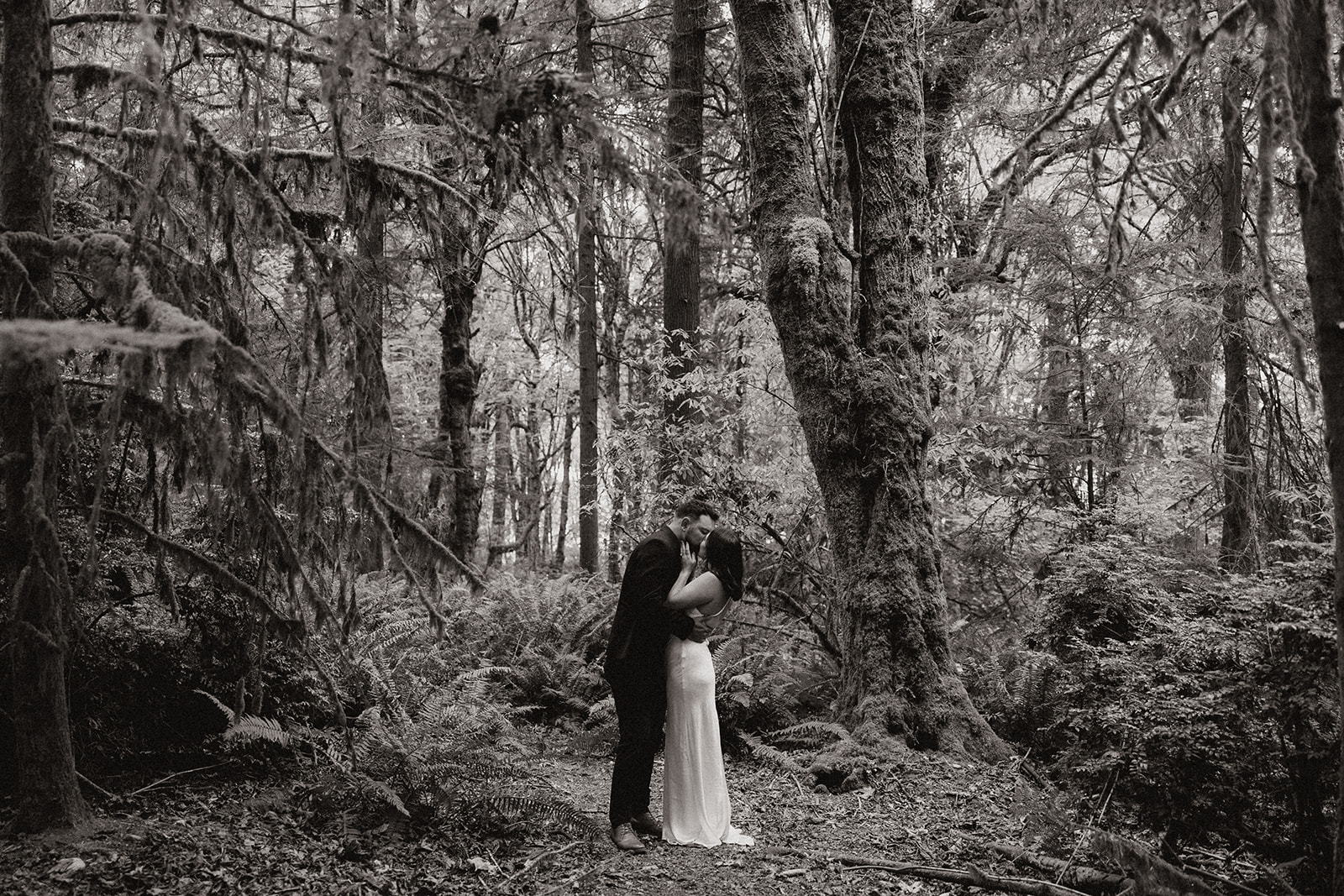 stunning couple pose in the PNW forest together