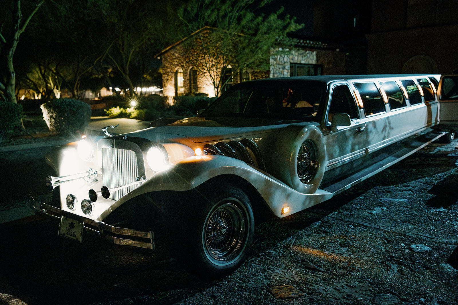 unique limo awaits to take away the beautiful brides