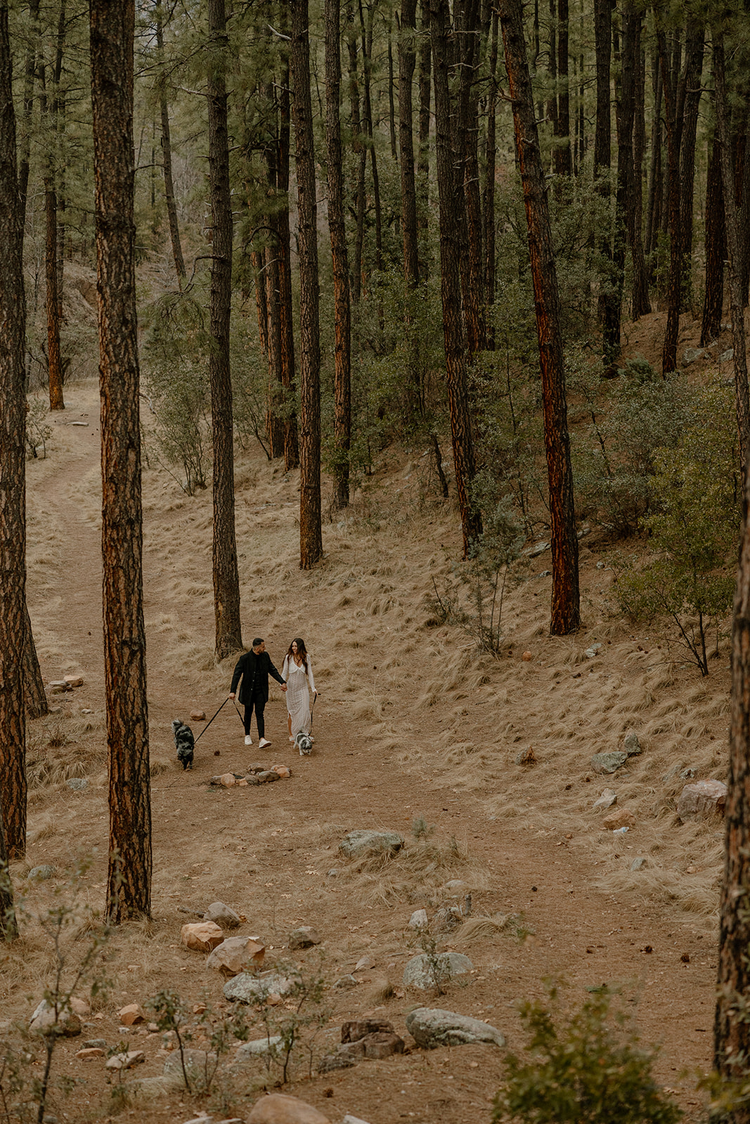 stunning couple pose with their dogs during their Arizona engagement photoshoot!