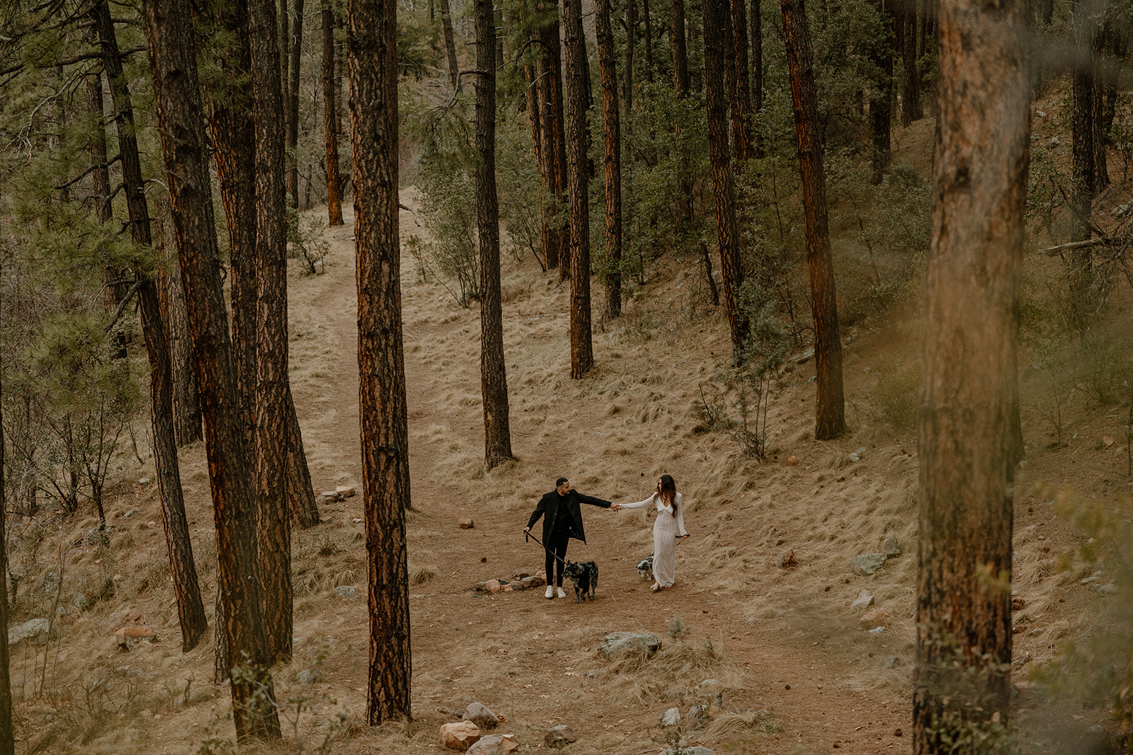 stunning couple pose with their dogs during their Arizona engagement photoshoot!