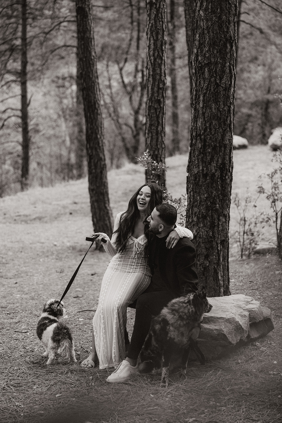 stunning couple pose with their dogs during their Arizona engagement photoshoot!