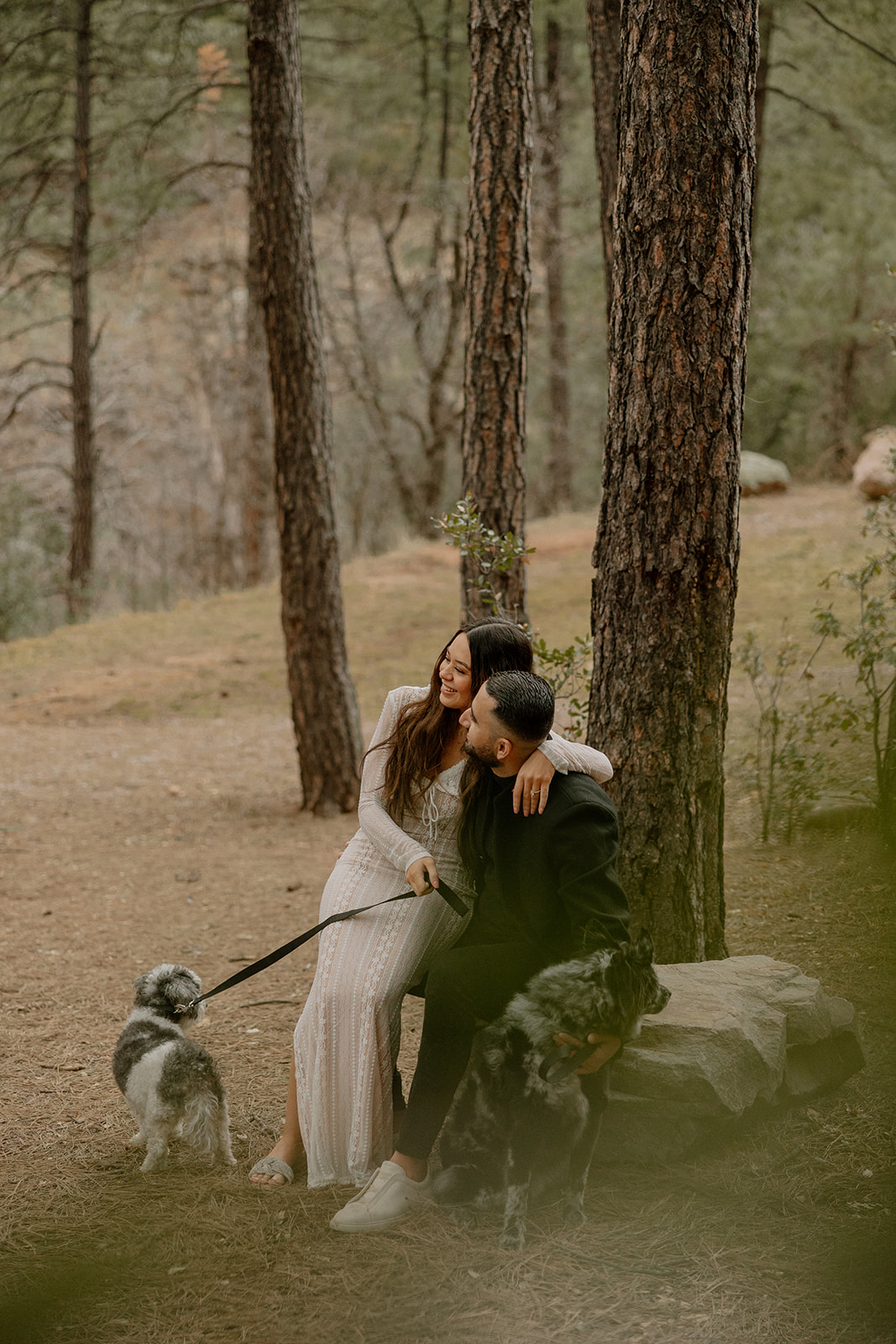 stunning couple pose with their dogs during their Arizona engagement photoshoot!