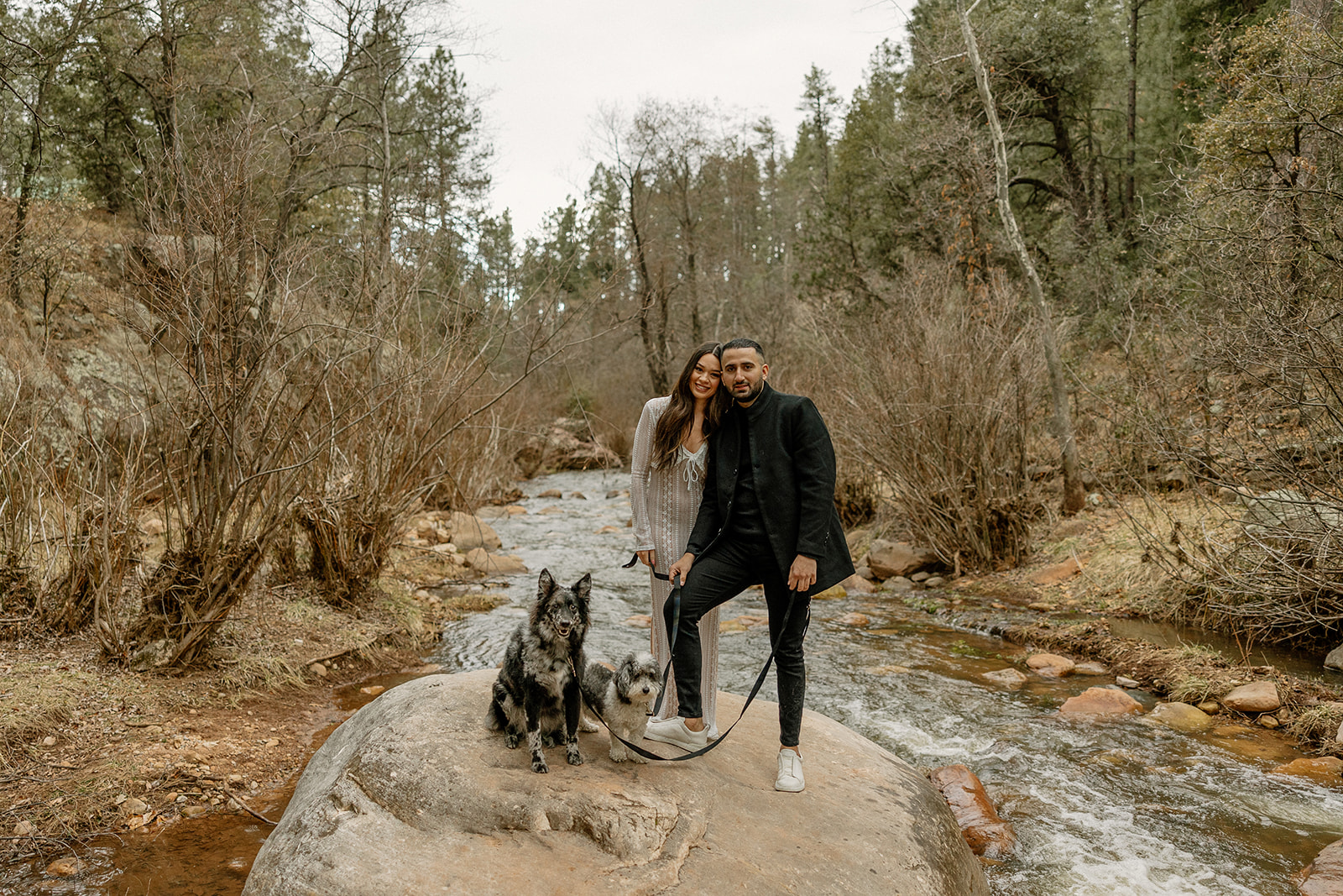 stunning couple pose with their dogs during their Arizona engagement photoshoot!