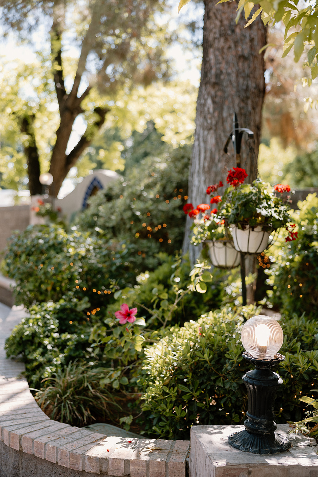 details and decor from a beautiful Arizona garden wedding day