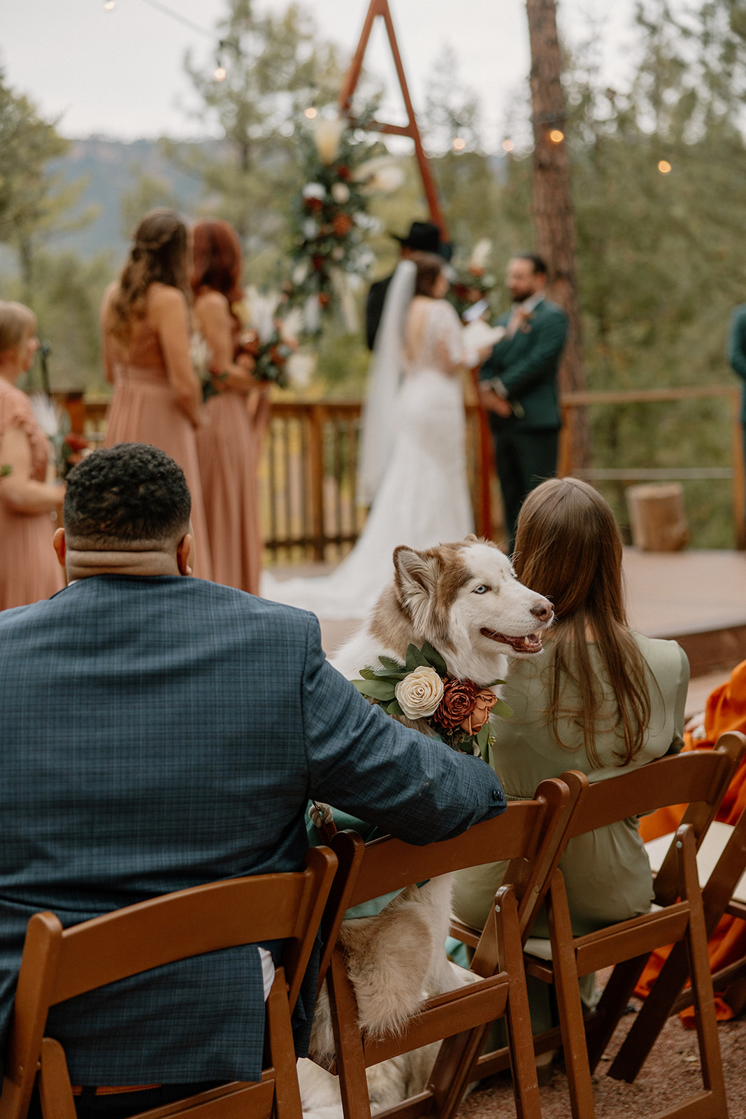 documentary style Arizona wedding ceremony photos including dogs!