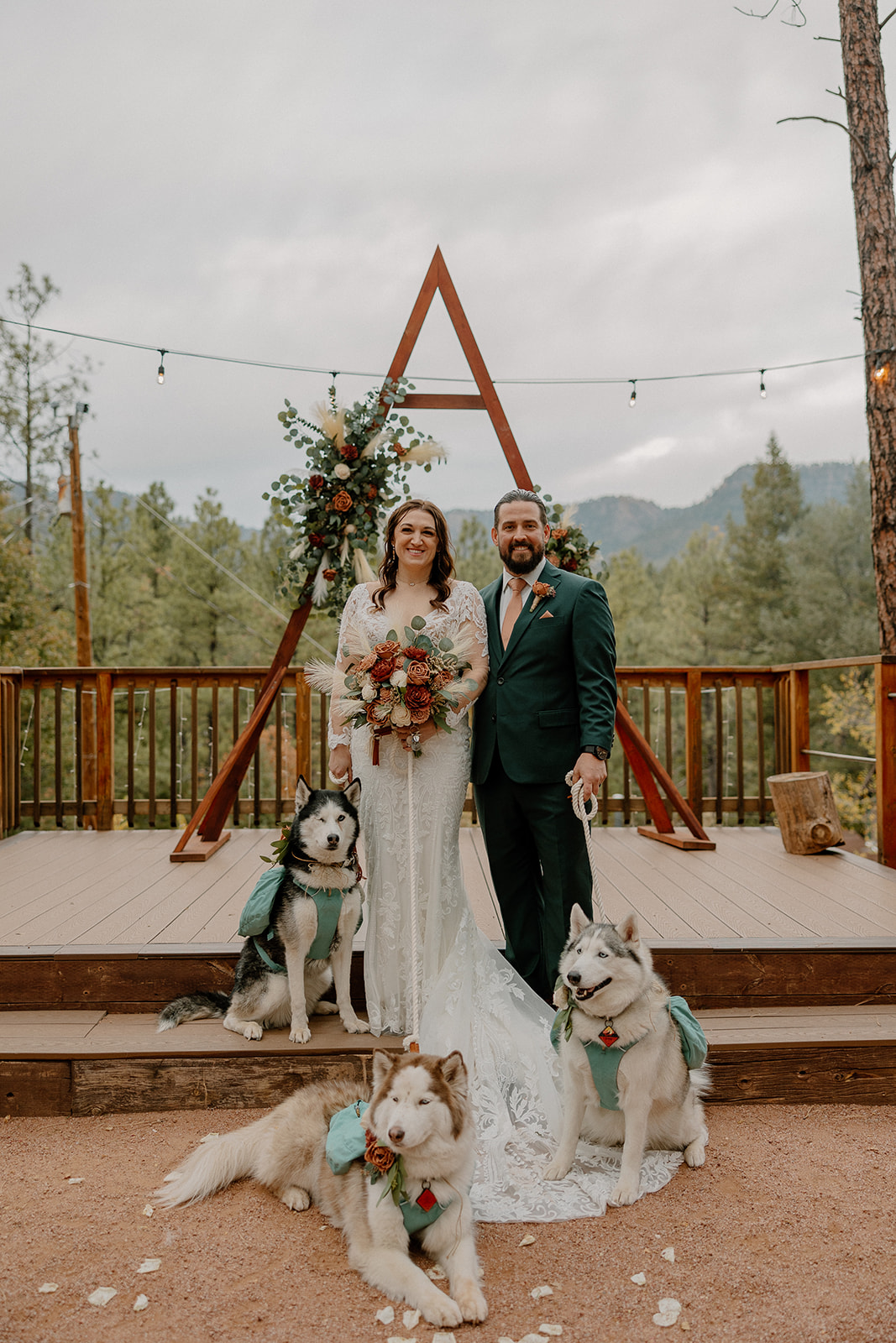 bride and groom pose with their dogs on their wedding day, a perfect way to include your dogs in your wedding!