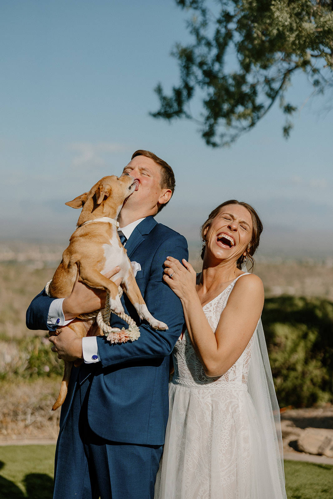 bride and groom pose with their dogs on their wedding day, a perfect way to include your dogs in your wedding!