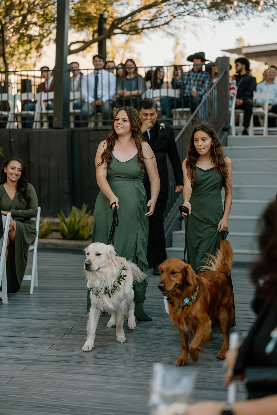 bridesmaids enter with dogs