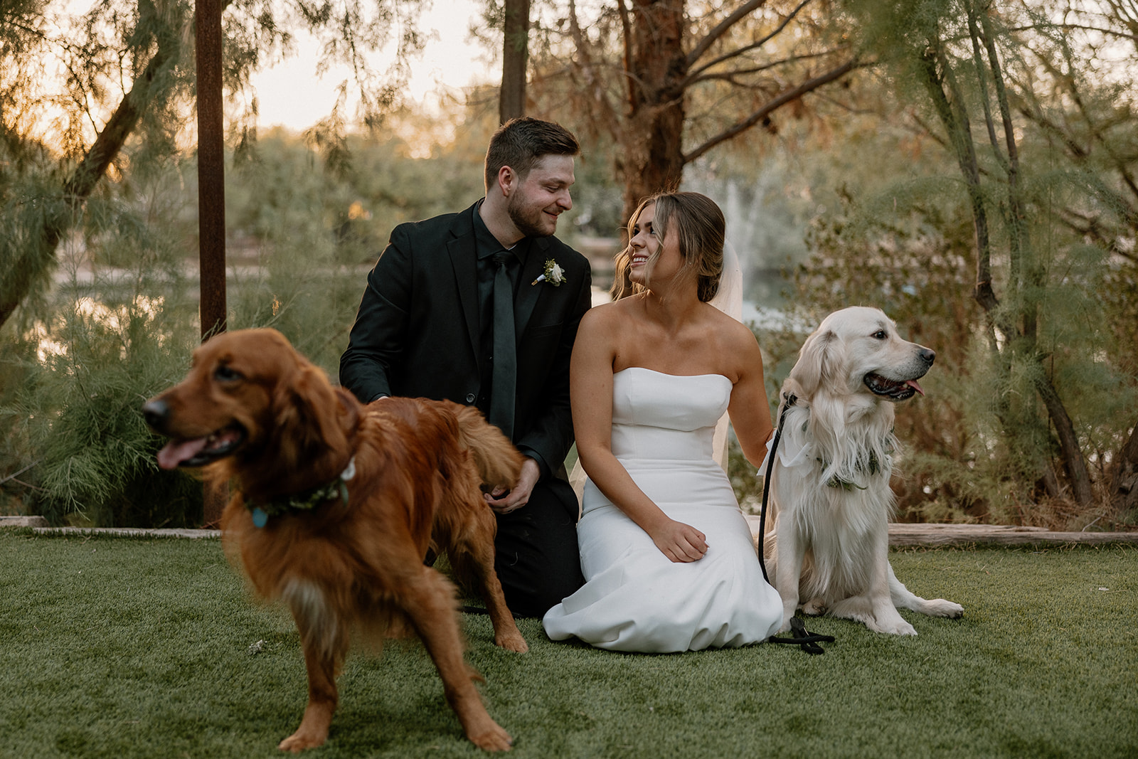 bride and groom pose with their dogs on their wedding day, a perfect way to include your dogs in your wedding!