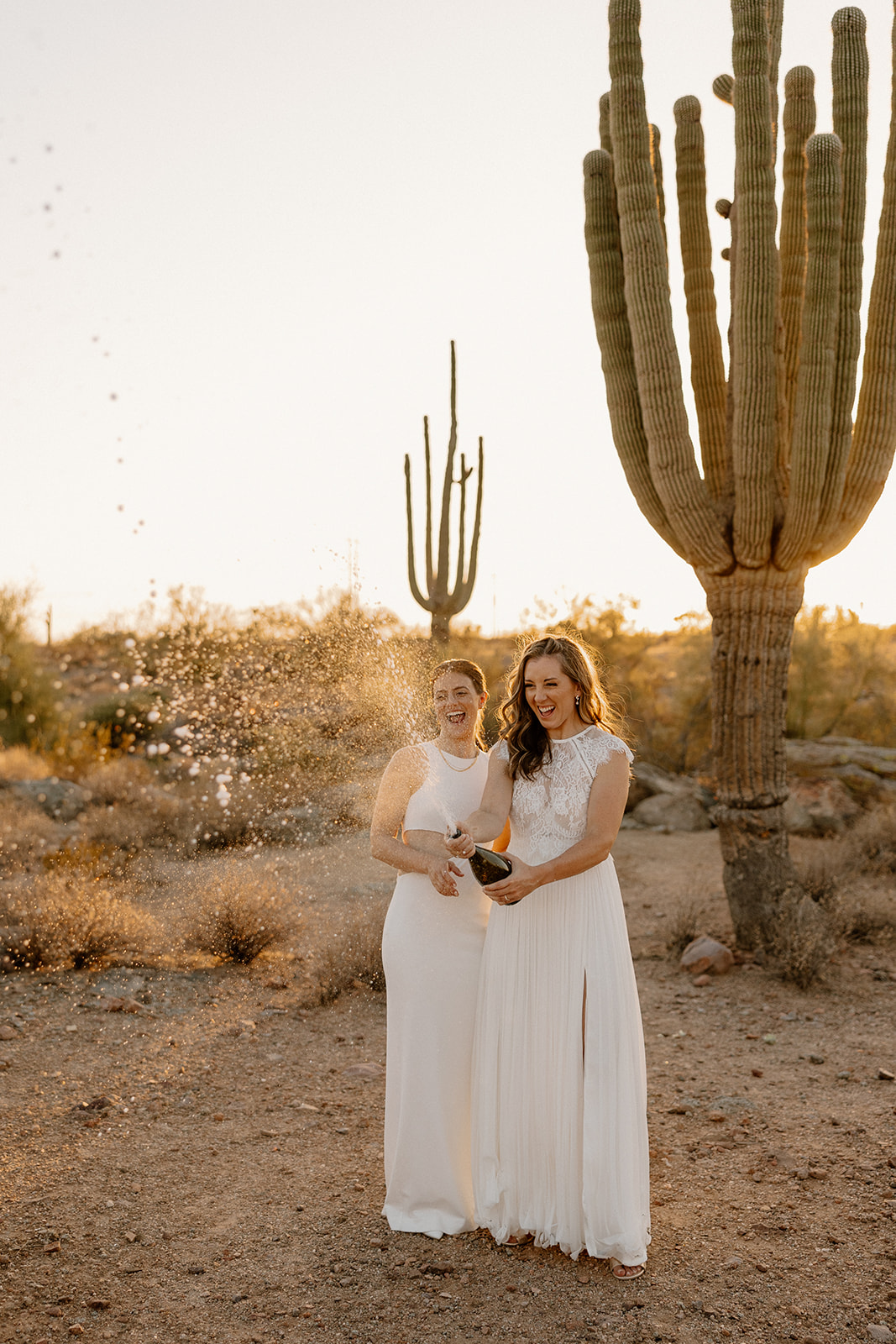 beautiful brides pose together in the Arizona desert after their Arizona wedding day